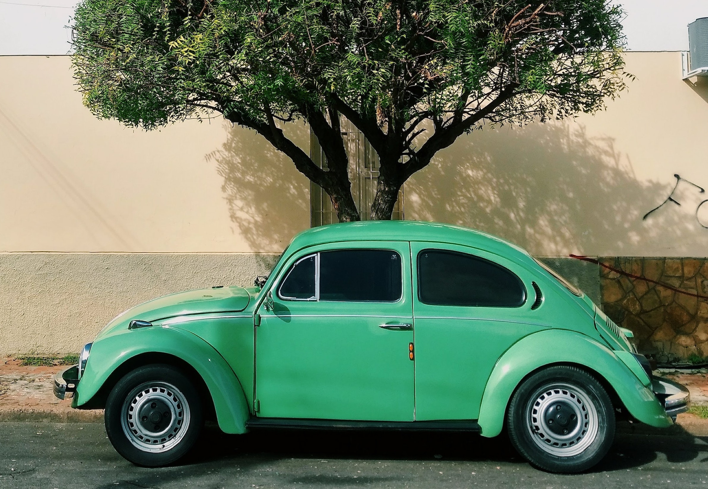 A green VW beetle